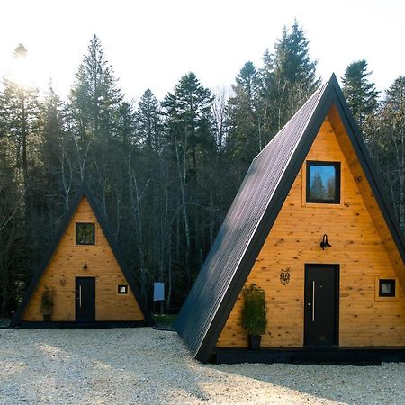The Palo Cabins Predeal Exterior photo