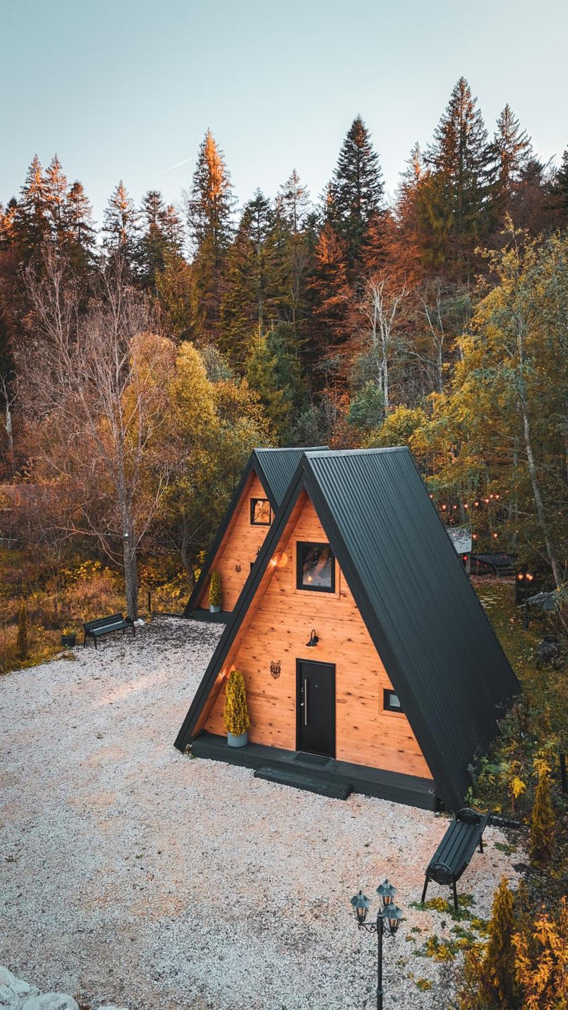 The Palo Cabins Predeal Exterior photo